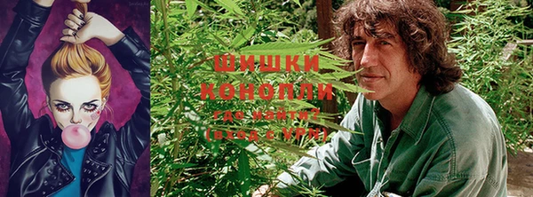 PSILOCYBIN Магадан