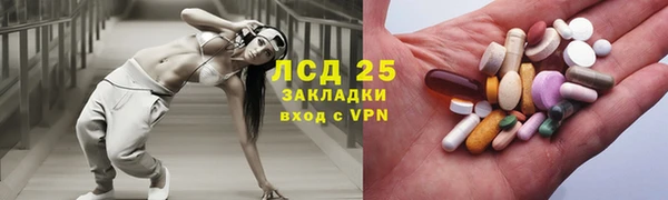 стаф Алзамай
