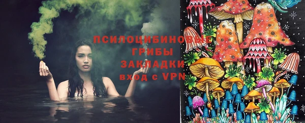 твердый Алексин
