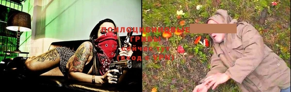 spice Алексеевка