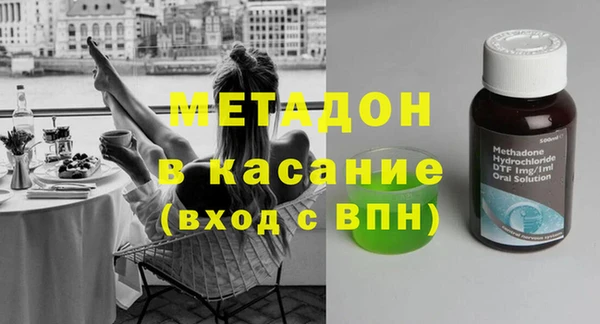 стаф Алзамай