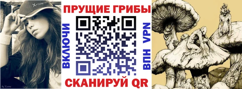 Галлюциногенные грибы мицелий Купить где Владимир